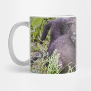 Gray Wolf Pups Mug